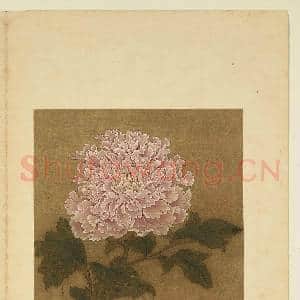 宋元名绘.册.彭与义牡丹故画|1幅|8.59 MB|高清下载