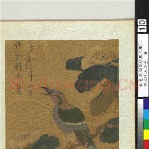 宋元明人合璧.册.宋徽宗茶花绶鸟故画|2幅|21.17 MB|高清下载