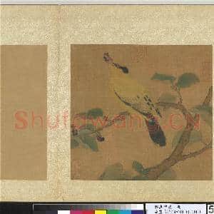 韫真集庆.册.宋人桑枝黄鸟故画|1幅|13.33 MB|高清下载