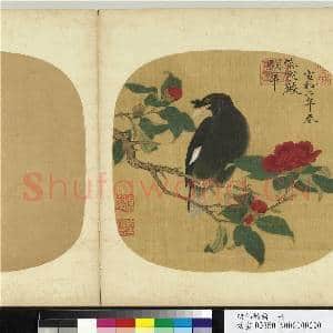 诸仙妙绘.册.宋徽宗山茶鸲鹆故画|1幅|9.52 MB|高清下载