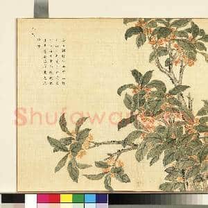 卉林胪瑞.册.清人月殿秋香故画|1幅|10.96 MB|高清下载