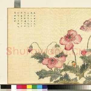 卉林胪瑞.册.清人仙囊玉粟故画|1幅|10.66 MB|高清下载