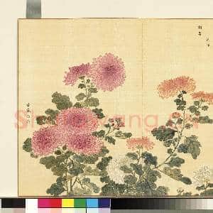卉林胪瑞.册.清人甘泉益寿故画|1幅|10.29 MB|高清下载