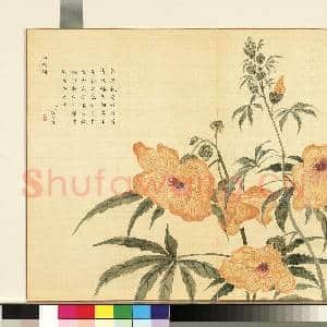 卉林胪瑞.册.清人金杯捧日故画|1幅|10.39 MB|高清下载