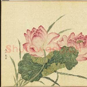 卉林胪瑞.册.清人玉井朱华故画|2幅|23.9 MB|高清下载