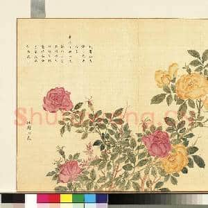 卉林胪瑞.册.清人仙圃恒春故画|1幅|10.32 MB|高清下载
