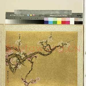明人集绘.册.清姜泓梅花故画|1幅|11.56 MB|高清下载