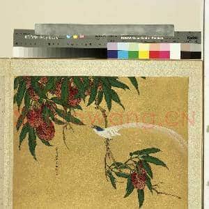 明人集绘.册.清叶鼎奇荔枝山鹊故画|1幅|11.71 MB|高清下载