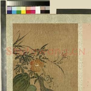 明人花果册.册.明人画|1幅|11.89 MB|高清下载