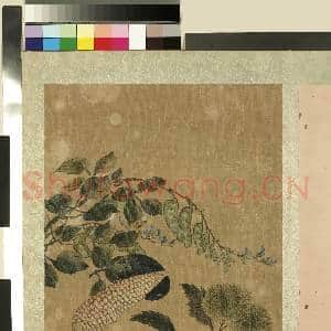 明人花果册.册.明人玉蜀黍故画|1幅|11.48 MB|高清下载