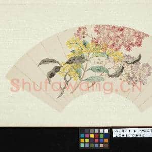 清花卉画|2幅|20.83 MB|高清下载