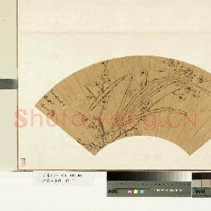 花卉画|1幅|10.36 MB|高清下载