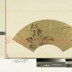花卉画|1幅|10.11 MB|高清下载