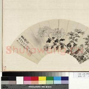 花卉画|2幅|18.87 MB|高清下载