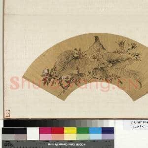 花卉画|1幅|10.93 MB|高清下载
