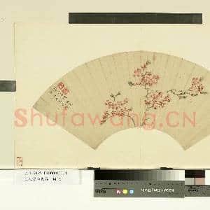 明人便面集锦.册.明陈栝杏花故画|1幅|7.64 MB|高清下载