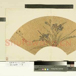 明人便面集锦.册.明陈栝鸢尾故画|1幅|9.26 MB|高清下载