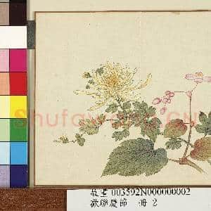 欢联庆节.册.菊花秋海棠故画|1幅|9.33 MB|高清下载