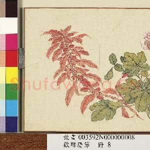 欢联庆节.册.月季雁来红故画|1幅|9.77 MB|高清下载