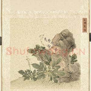 四时和气.册.秋圃寒香故画|1幅|10.44 MB|高清下载