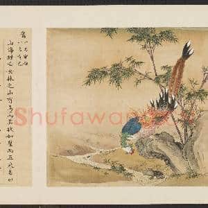 鸟谱(一)册.鸾故画|2幅|15.94 MB|高清下载