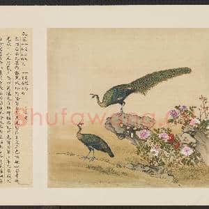 鸟谱(一)册.孔雀故画|2幅|15.72 MB|高清下载