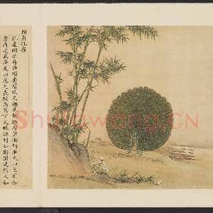 鸟谱(一)册.开屏孔雀故画|2幅|16.13 MB|高清下载