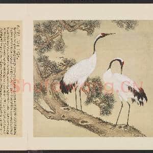 鸟谱(一)册.鹤故画|2幅|17.01 MB|高清下载