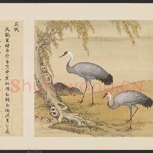 鸟谱(一)册.灰鹤故画|2幅|15.77 MB|高清下载