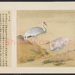 鸟谱(一)册.蓝故画|2幅|15.36 MB|高清下载