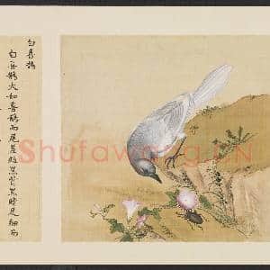 鸟谱(一)册.白喜鹊故画|2幅|14.91 MB|高清下载