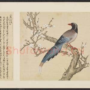 鸟谱(一)册.山鹧故画|2幅|15.27 MB|高清下载