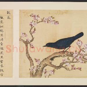 鸟谱(一)册.靛花故画|2幅|14.98 MB|高清下载