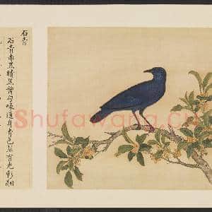 鸟谱(一)册.石青故画|2幅|15.06 MB|高清下载