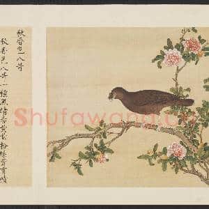 鸟谱(一)册.秋香色八哥故画|2幅|14.9 MB|高清下载