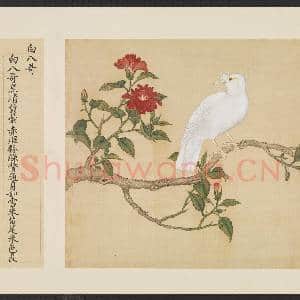 鸟谱(一)册.白八哥故画|2幅|14.87 MB|高清下载