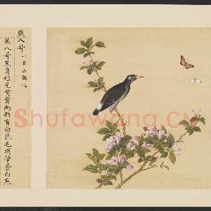鸟谱(一)册.燕八哥故画|2幅|14.52 MB|高清下载