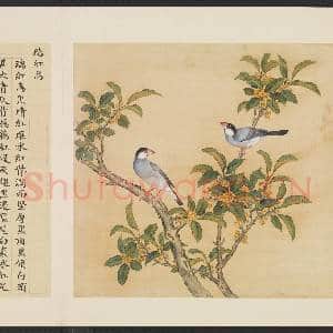 鸟谱(一)册.瑞红鸟故画|2幅|15.01 MB|高清下载