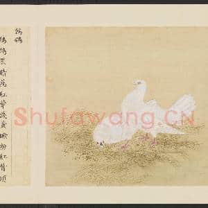 鸟谱(一)册.鹯鸽故画|2幅|14.5 MB|高清下载