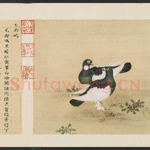 鸟谱(一)册.毛脚鸽故画|2幅|14.61 MB|高清下载