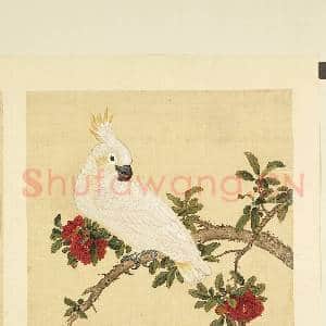 鸟谱(二)册.葵黄顶花小白鹦鹉故画|2幅|18.05 MB|高清下载