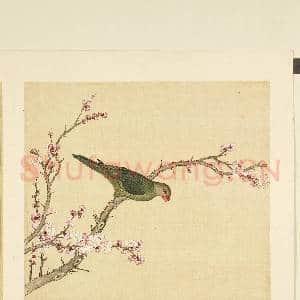 鸟谱(二)册.绿丁香鸟故画|2幅|17.68 MB|高清下载