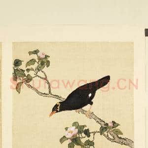 鸟谱(二)册.了哥故画|2幅|18.17 MB|高清下载