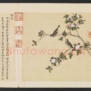 鸟谱(三)册.金翅故画|2幅|15.16 MB|高清下载