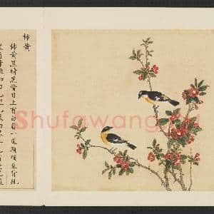 鸟谱(三)册.柿黄故画|2幅|14.93 MB|高清下载