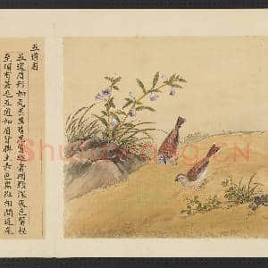 鸟谱(三)册.五道眉故画|2幅|15.66 MB|高清下载