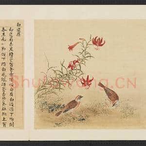 鸟谱(三)册.白道眉故画|2幅|15.22 MB|高清下载