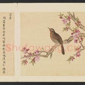 鸟谱(三)册.画|2幅|14.79 MB|高清下载