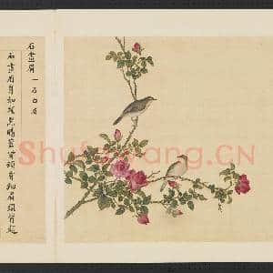 鸟谱(三)册.石画|2幅|14.65 MB|高清下载