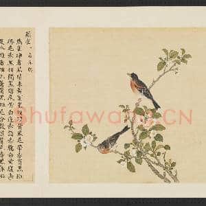 鸟谱(三)册.燕雀故画|2幅|14.98 MB|高清下载